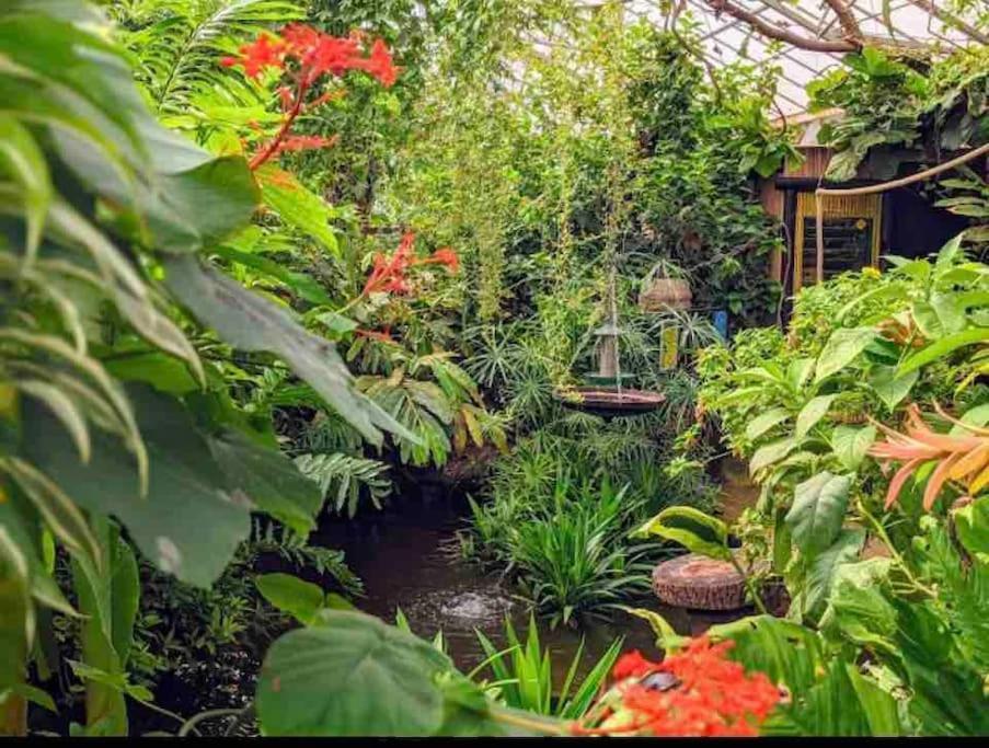Hidden Gem !Stunning 3 Bedroom Home In Sheffield Handsworth Ngoại thất bức ảnh